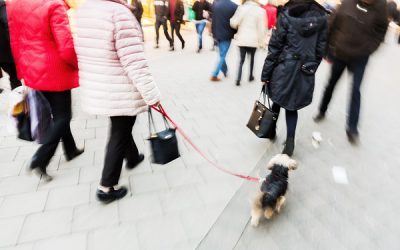 Nieuwe groepsinterventie ‘Zeker blijven lopen!’ helpt valpartijen bij ouderen buitenshuis te voorkomen