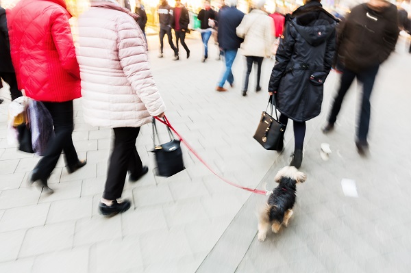 Nieuwe groepsinterventie ‘Zeker blijven lopen!’ helpt valpartijen bij ouderen buitenshuis te voorkomen